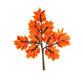 Artificial Banyan Maple Mango Leaf Stems | 12pc Fake Foliage