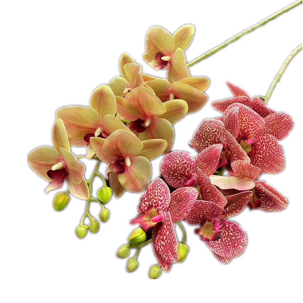 Artificial Phalaenopsis Orchid Branch – 7 Heads, Real Touch 69cm Artificial Flower Stem Axl