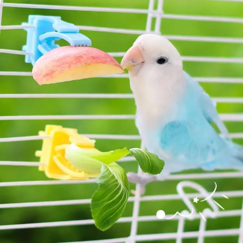 Parrot Bird Cage Food Clip Feeder – Fruit & Veggie Holder 2/4 Pcs Bird Cage Feeder Clip Axl