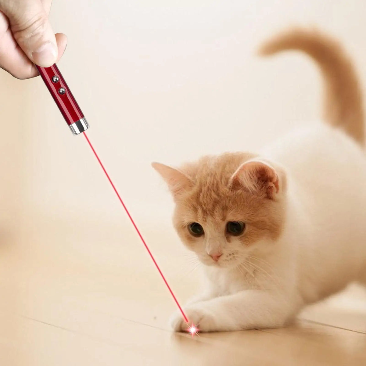 Cat Laser Pointer Toy Pen – LED Light & Keychain Flashlight Cat Laser Toy Axl
