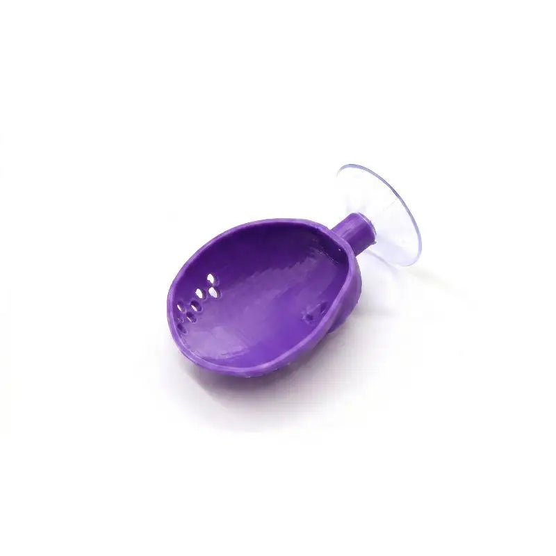 Shell-Shaped Betta Feeding Dish with Suction Cup | Fish Tank Aquarium Feeding Dish Axl AB