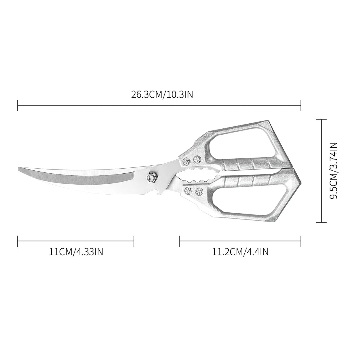 Stainless Steel Kitchen Shears – Heavy-Duty Meat & Poultry Scissors Kitchen Shears Axl 1PCS C