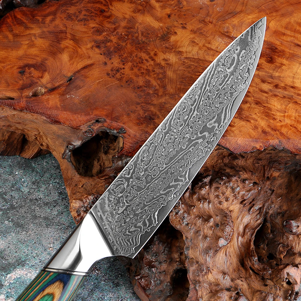 Damascus Steel Knife Set | VG-10 Japanese Chef Knives Damascus Knife Set Axl