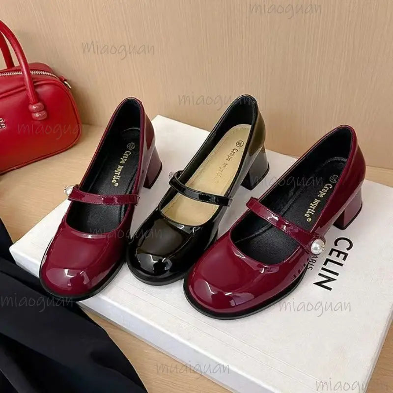Women's Vintage Mary Jane Block Heel Pumps | Buckle Strap Block Heel Pumps Axl