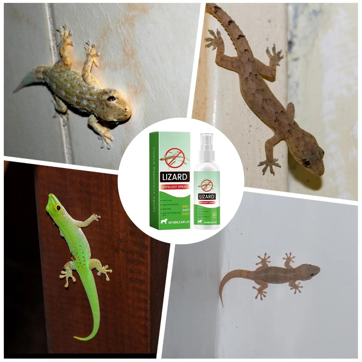 Lizard & Gecko Repellent Spray 50ml – Natural Lavender Oil Reptile Repellent Spray Axl Default Title