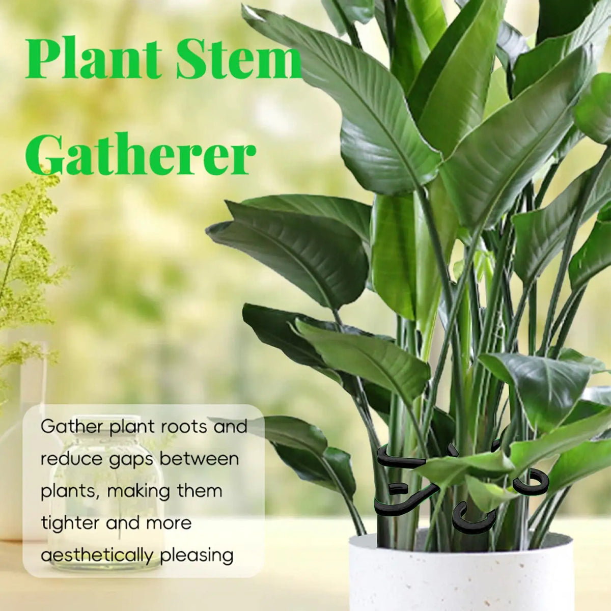 4-Piece Plant Stem Support Set – Climbing Plant Stake Holder Plant Stem Support Axl