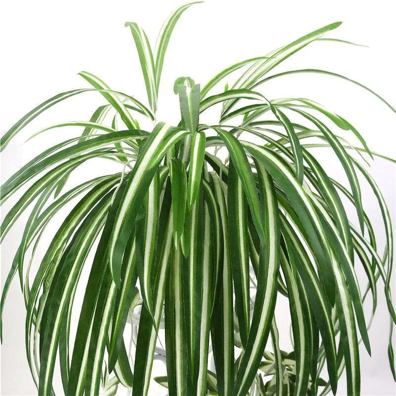 65cm Artificial Hanging Chlorophytum Vine Plant – Home Décor Artificial Hanging Plant Axl