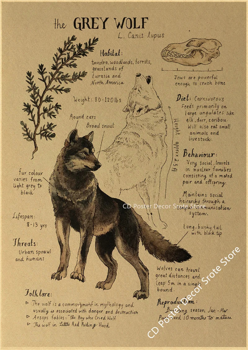 Vintage Animal Kraft Paper Poster Prints – Fox, Wolf, Dragon & More Wall Art Poster Axl 15 A3 16.5x11.8inch