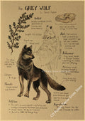 Vintage Animal Kraft Paper Poster Prints – Fox, Wolf, Dragon & More Wall Art Poster Axl 15 A3 16.5x11.8inch