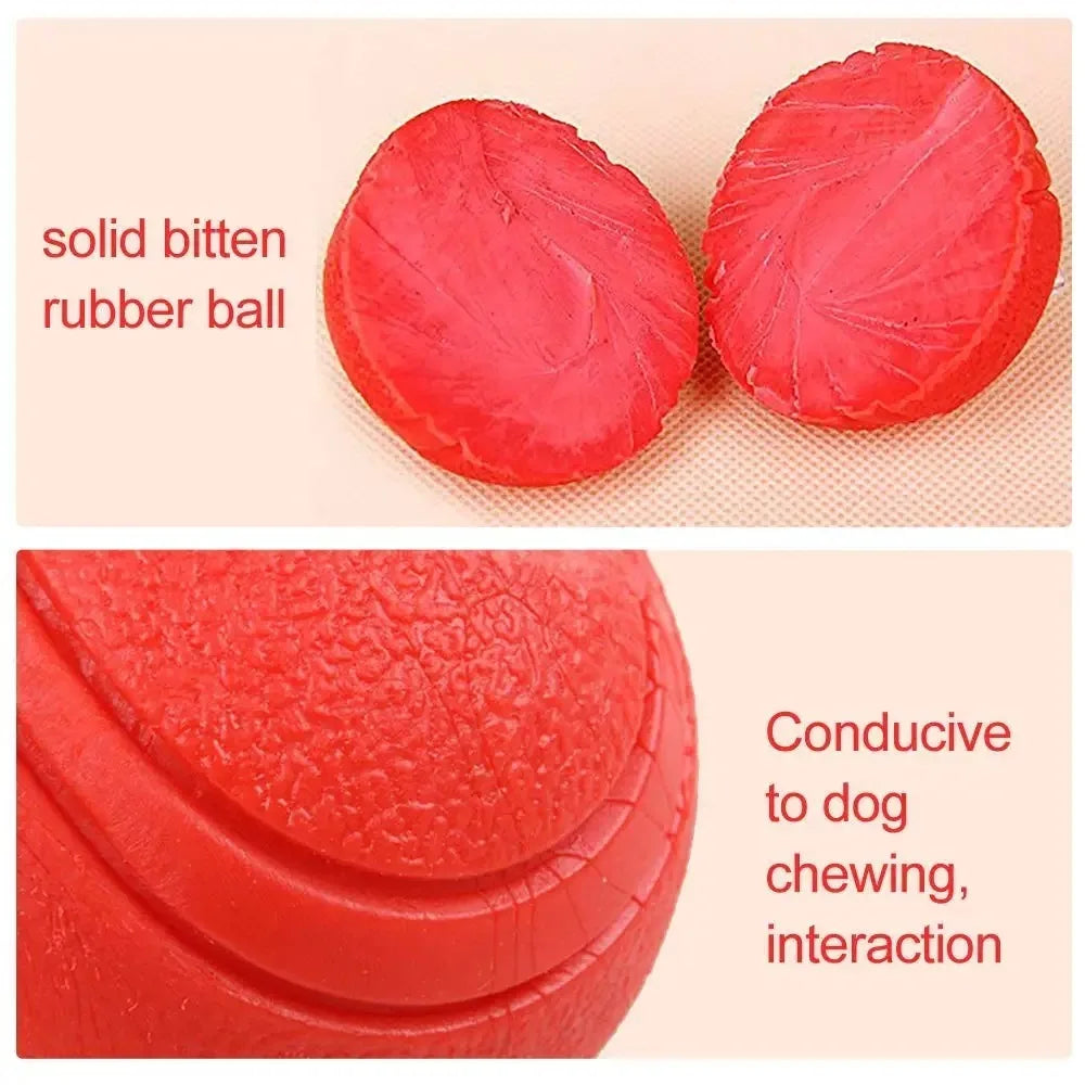 Pet Rubber Chew Ball – Dog Training Bouncy Molar Toy Dog Chew Toy Axl
