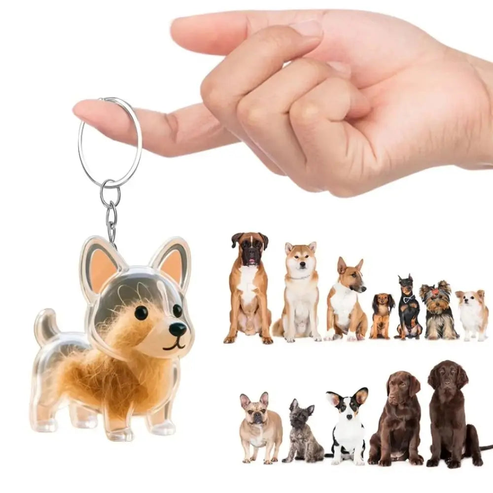 Dog Fur Keepsake Capsule Keychain – Pet Hair Storage Pendant Pet Keepsake Keychain Axl