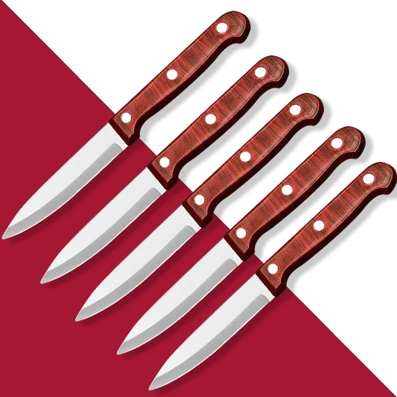 Professional Stainless Steel Paring & Kitchen Knife Set Kitchen Knife Axl 5pcs