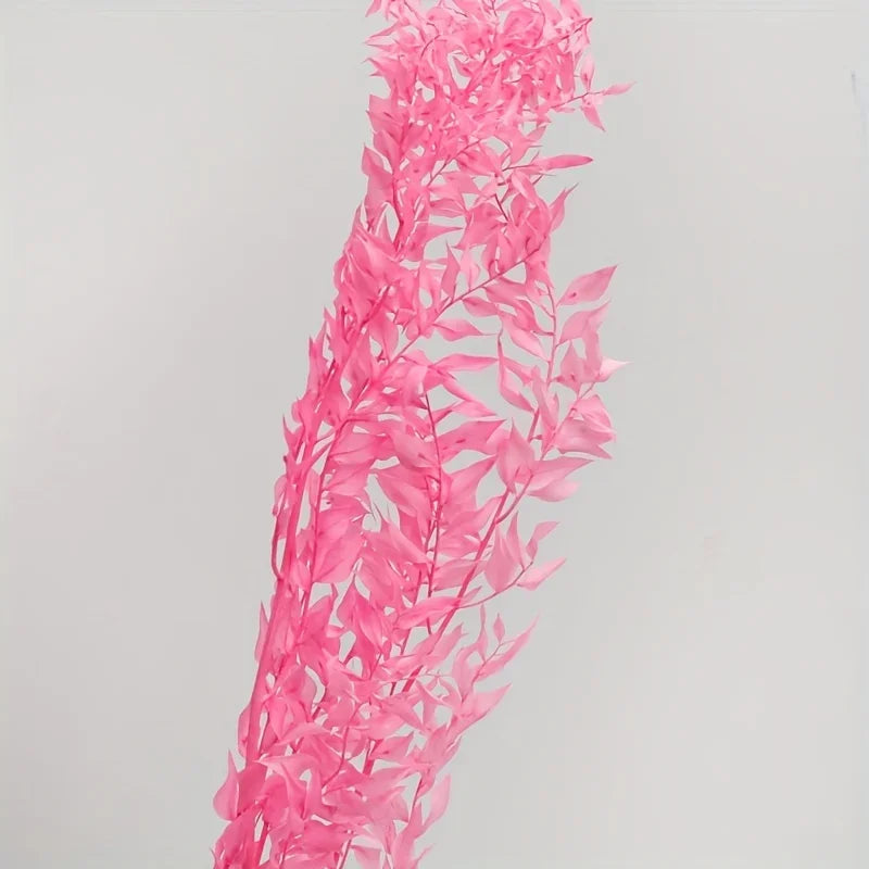 Natural Ruscus Dried Flower Bouquet 40g – Boho Home Decor Dried Flower Bouquet Axl 40g Pink