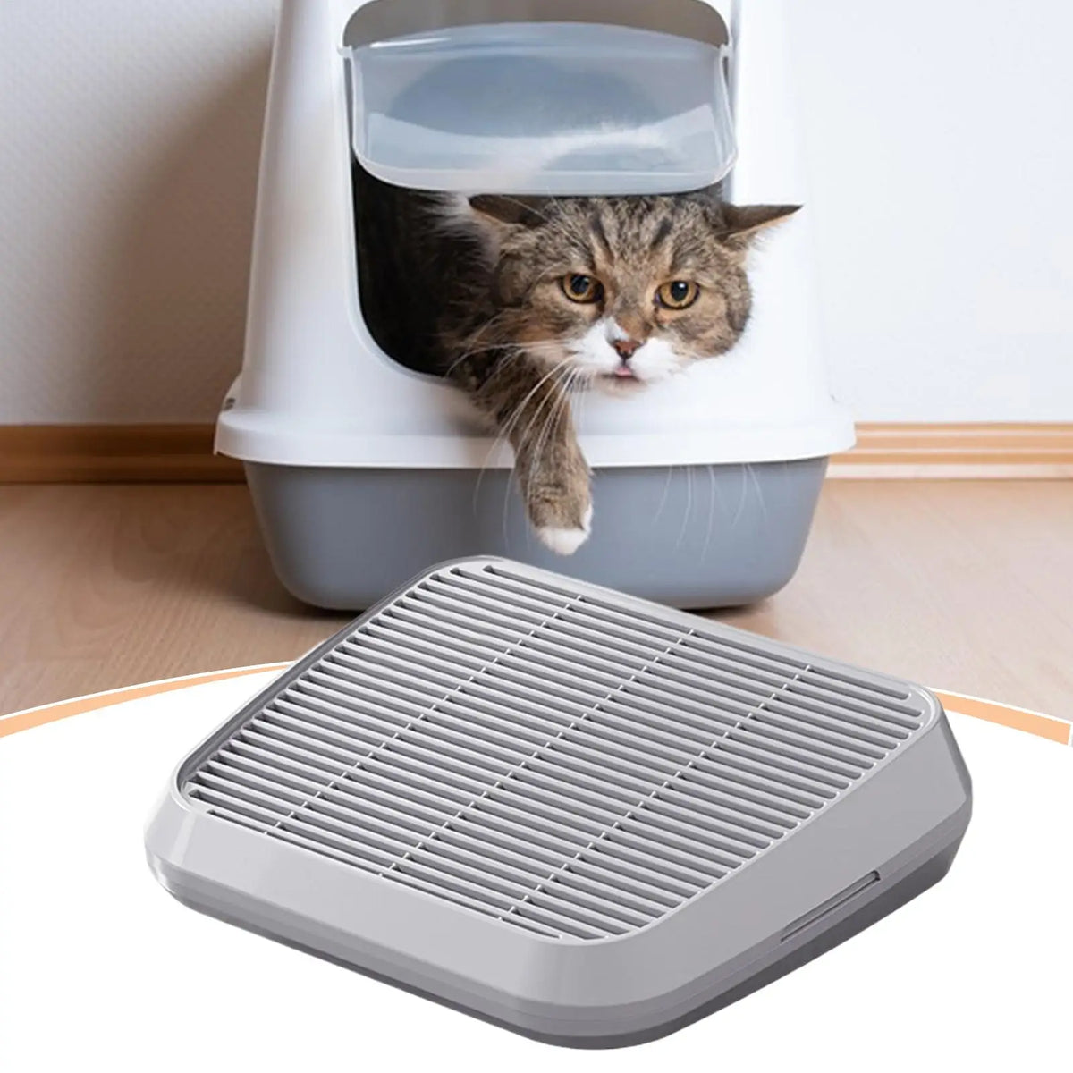 Double-Layer Cat Litter Tray – Anti-Tracking Ramp Step Mat Cat Litter Tray Axl