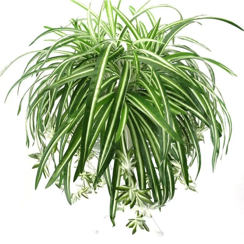 65cm Artificial Hanging Chlorophytum Vine Plant – Home Décor Artificial Hanging Plant Axl