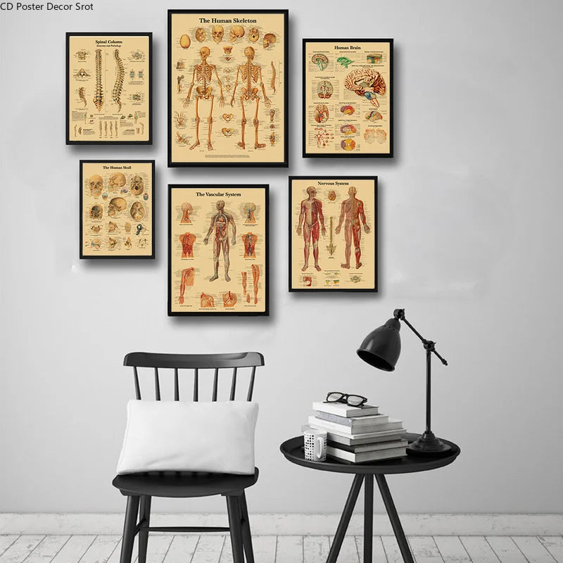 Retro Human Body Anatomy Poster | Kraft Paper Wall Art Anatomy Wall Poster Axl
