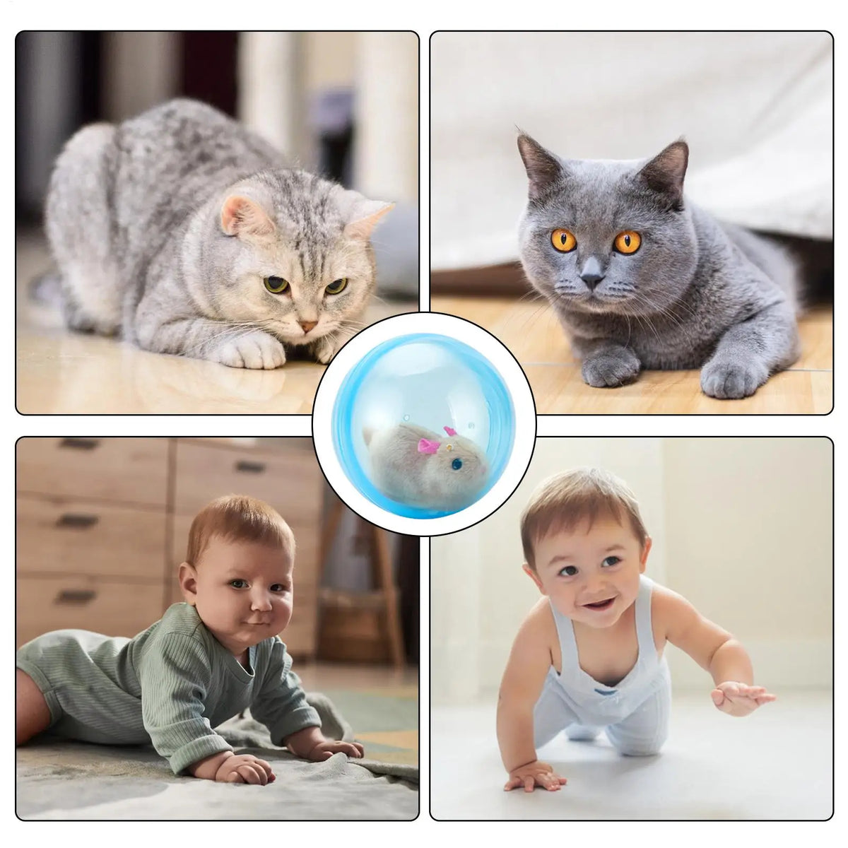 Electric Rolling Ball Interactive Cat & Dog Toy – 360° Auto-Spin Interactive Pet Toy Axl