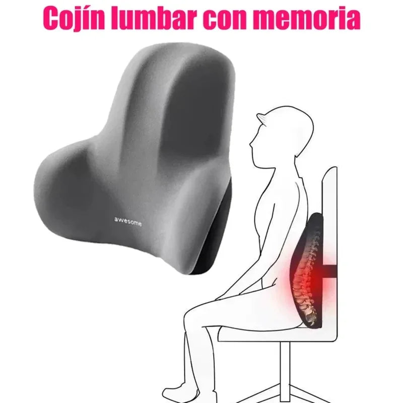 Memory Foam Lumbar Support Pillow – Car, Office & Gaming Chair Lumbar Support Pillow Axl