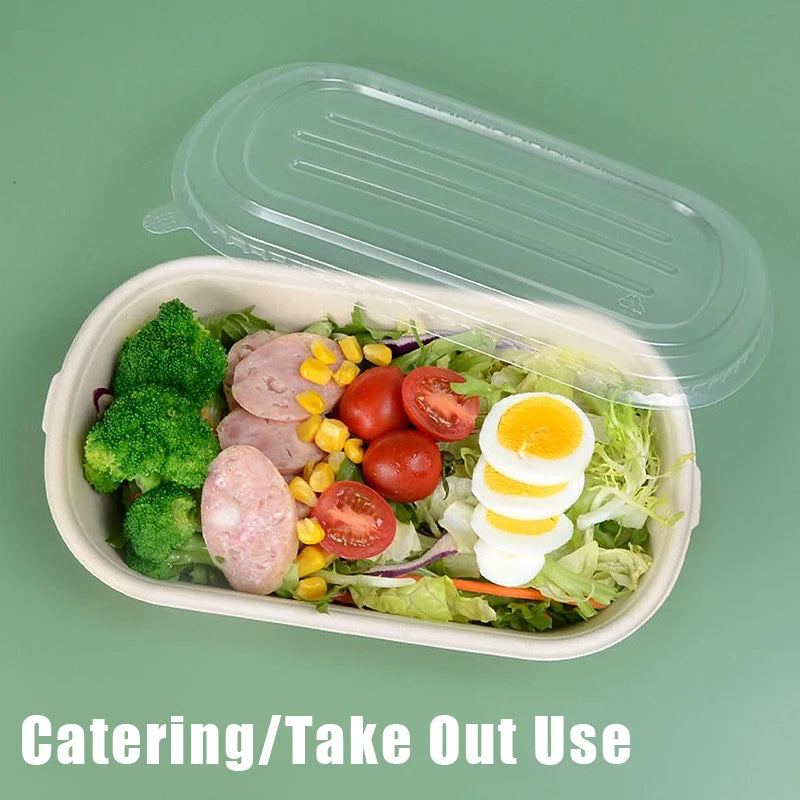 Biodegradable Sugarcane Lunch Boxes | 10/50 Pack, 4 Sizes Disposable Food Containers Axl