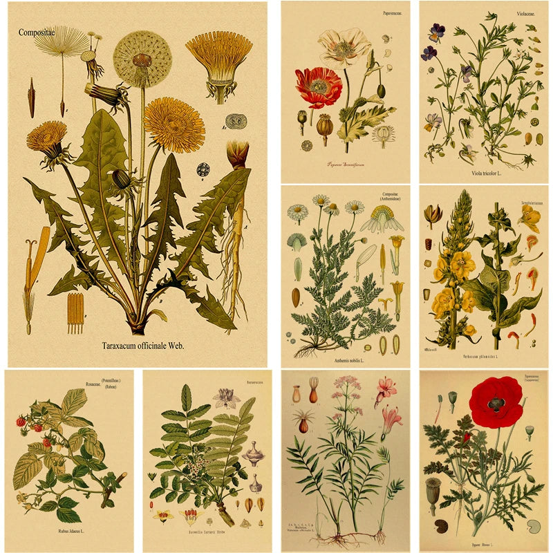 Botanical Herb & Flower Retro Kraft Paper Poster | Vintage Wall Art Decorative Wall Poster Axl