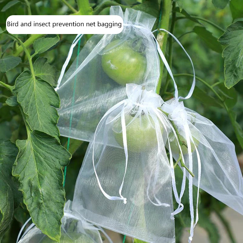 50 Pcs Organza Fruit Protection Bags – Anti-Bird Garden Mesh Fruit Protection Bags Axl