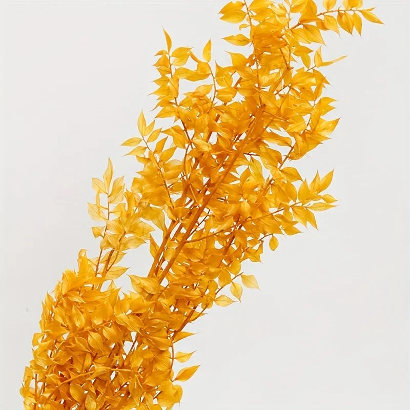 Natural Ruscus Dried Flower Bouquet 40g – Boho Home Decor Dried Flower Bouquet Axl 40g Orange