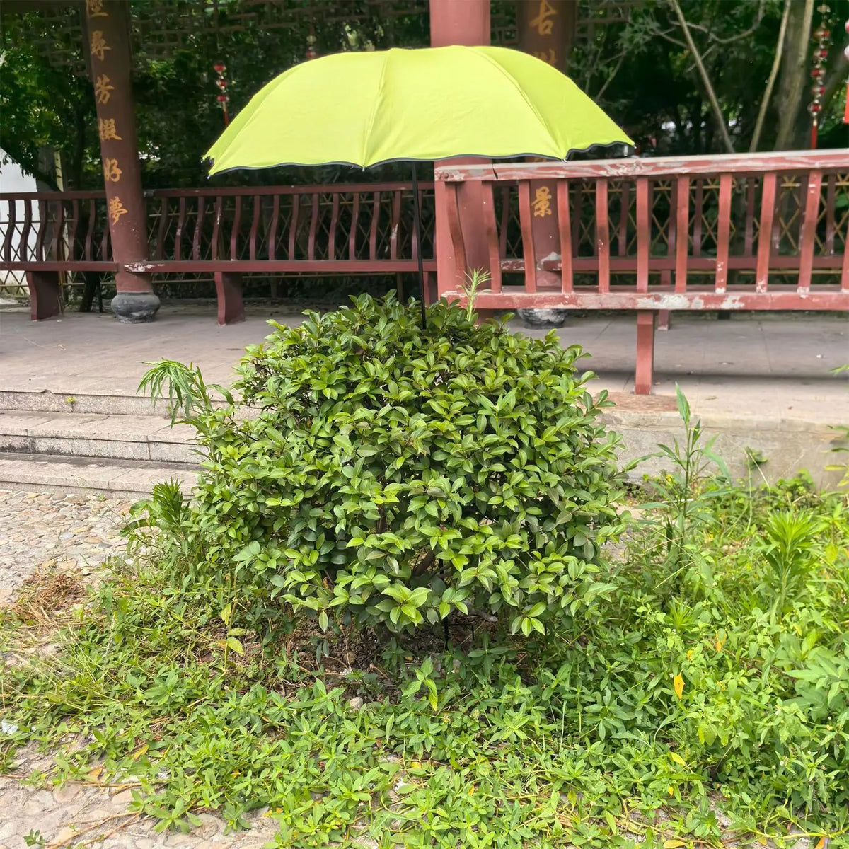 95cm Plant Sun Shade Umbrella – Garden Flower Parasol Garden Shade Umbrella Axl
