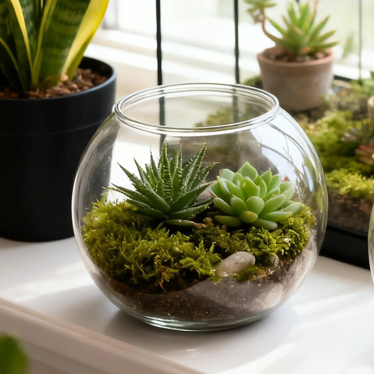 Mini Shatter-Resistant Fish Bowl | Bubble Planter & Centerpiece Decorative Fish Bowl Axl