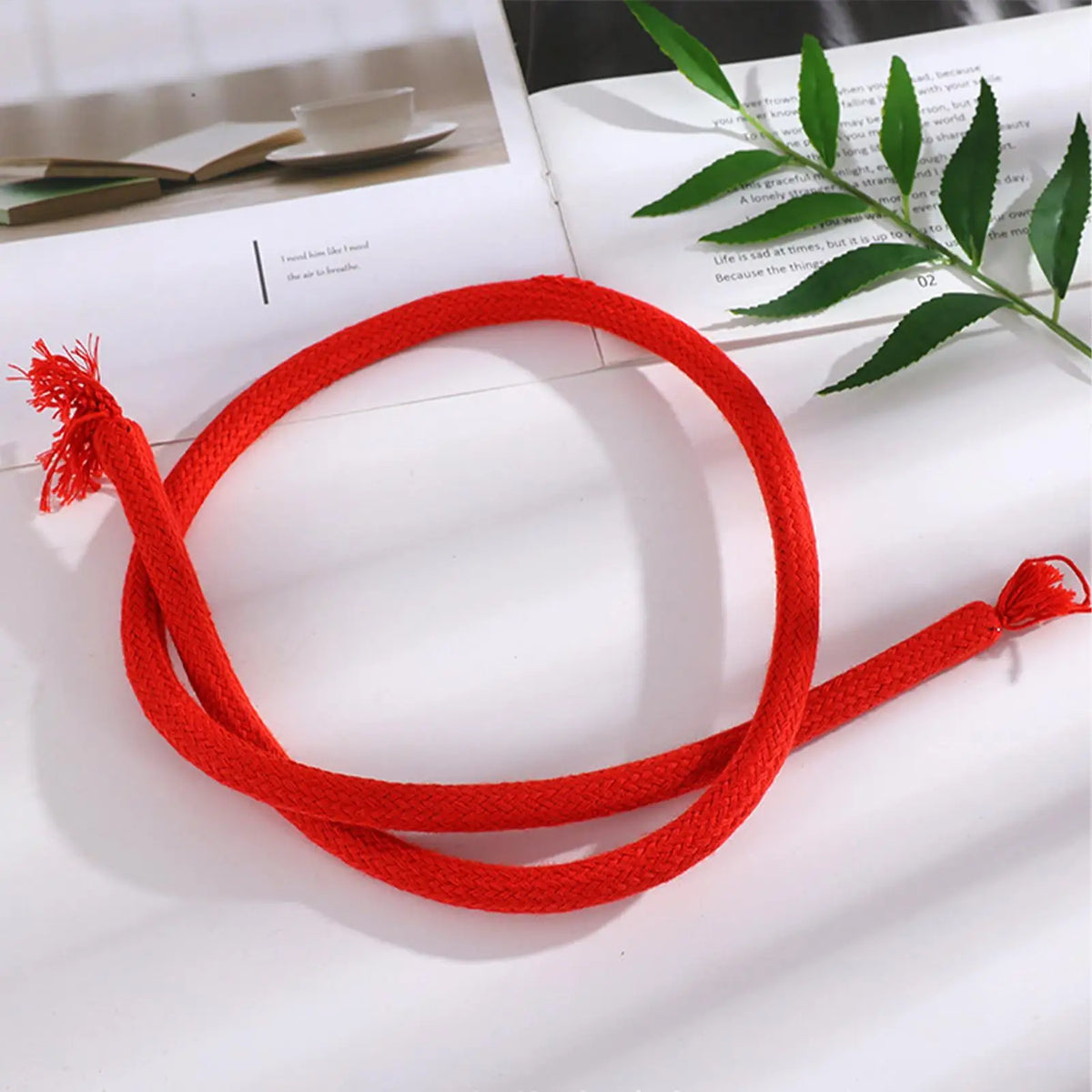 Stiff Rope Magic Trick – Close-Up Street Illusion Prop Magic Trick Prop Axl