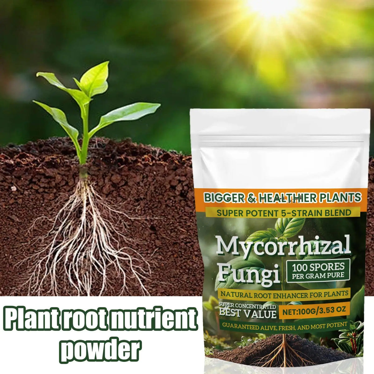100g Plant Growth Enhancer Powder – Hydroponics & Soil Plant Fertilizer Powder Axl