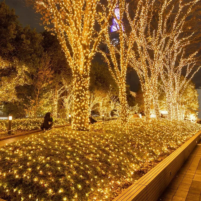 Outdoor LED Fairy String Lights 10M–100M | 8 Modes, IP44 LED Fairy String Lights Axl
