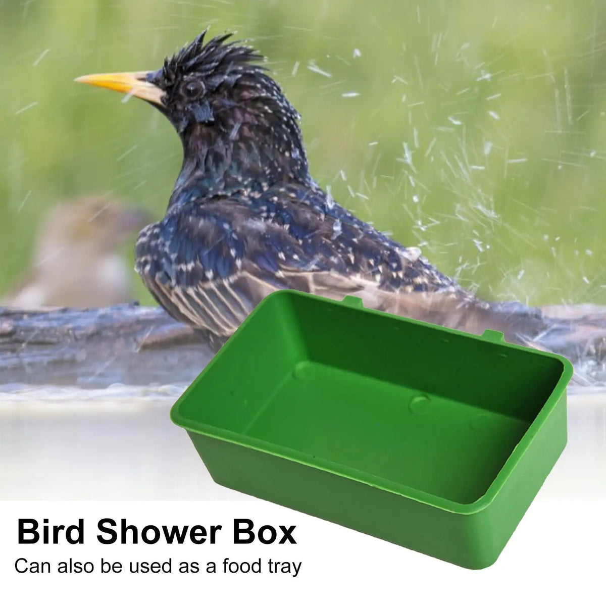 Hanging Bird Bath Cube – Cage Tray for Parrots & Budgies Bird Bath Tray Axl
