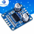 Mono Class D Digital Amplifier Board DC 8–24V 30W–300W 4–8Ω Amplifier Board Axl Default Title