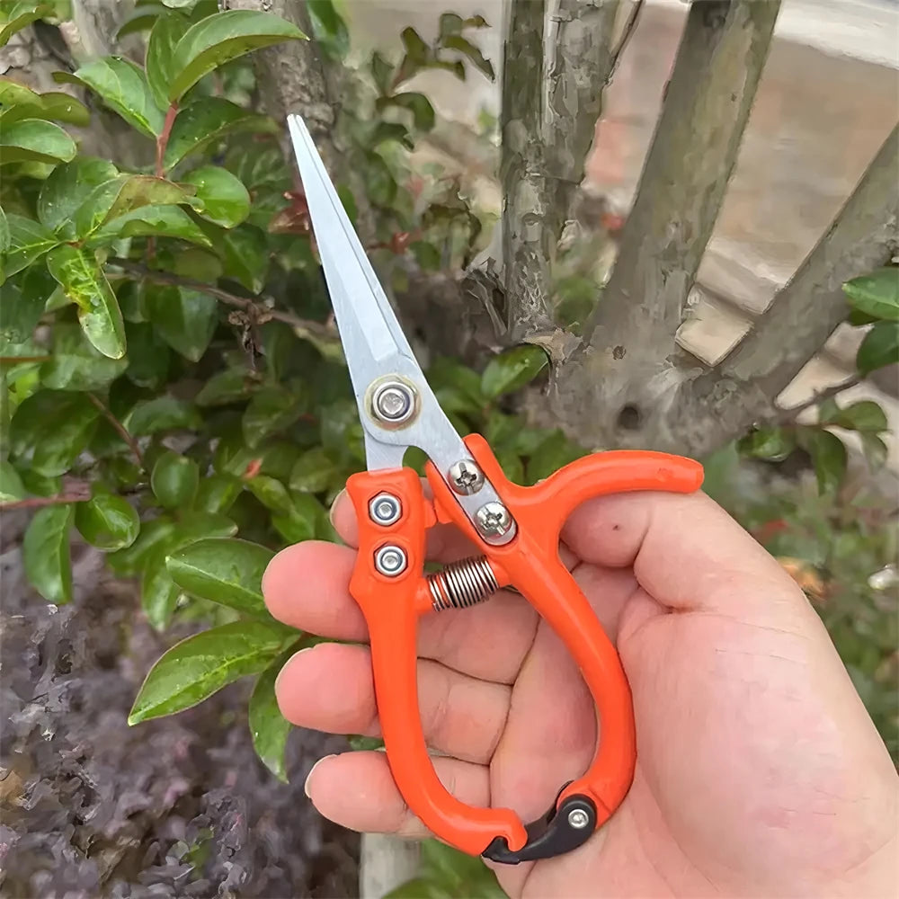 Stainless Steel Garden Scissors – Pruning & Bonsai Shears Pruning Shears Axl