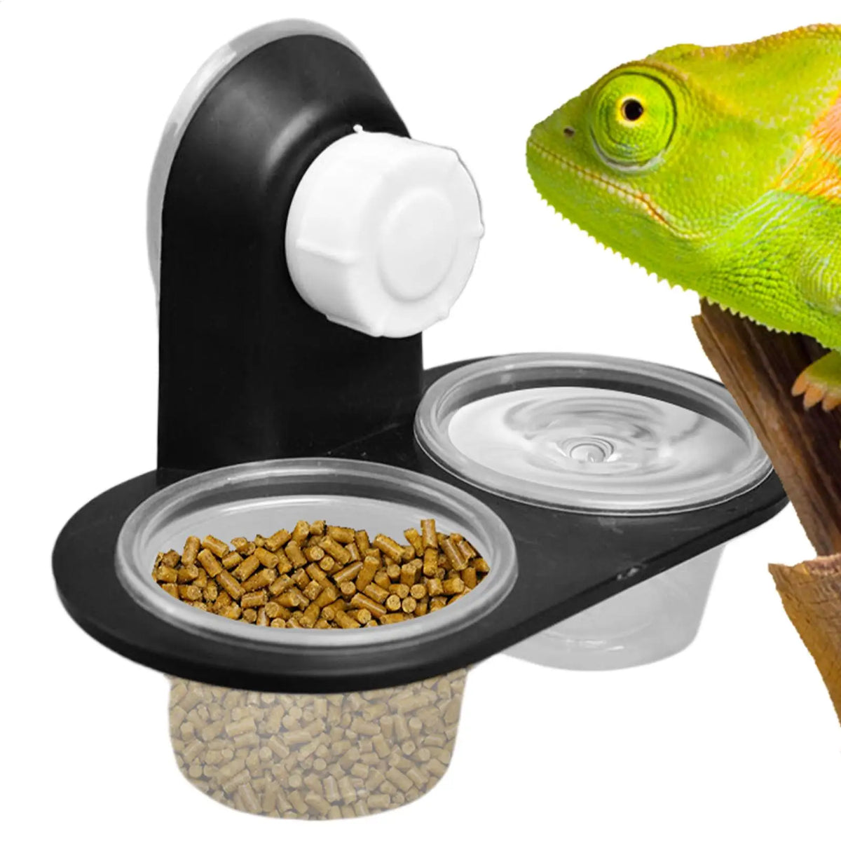 Reptile Food & Water Dish – 4-Cup Ledge Feeder Tray Reptile Feeder Dish Axl
