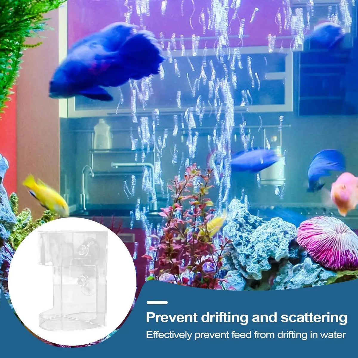 Large Capacity Shrimp Feeding Dish | Clear Aquarium Fish Feeder Aquarium Fish Feeder Axl