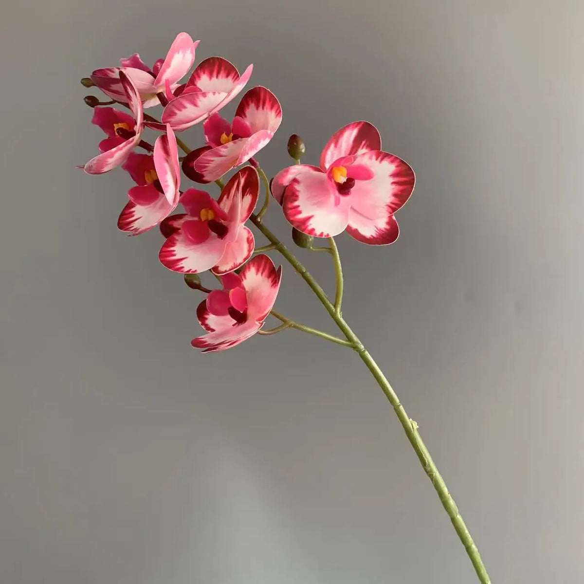 10-Pack Artificial Mini Orchid Stems – 8-Head Latex Phalaenopsis Artificial Flower Stems Axl rose red