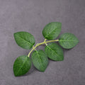 Artificial Rose Leaves Silk Greenery for DIY Crafts 10/30/50 Pcs Artificial Floral Leaves Axl 10PCS