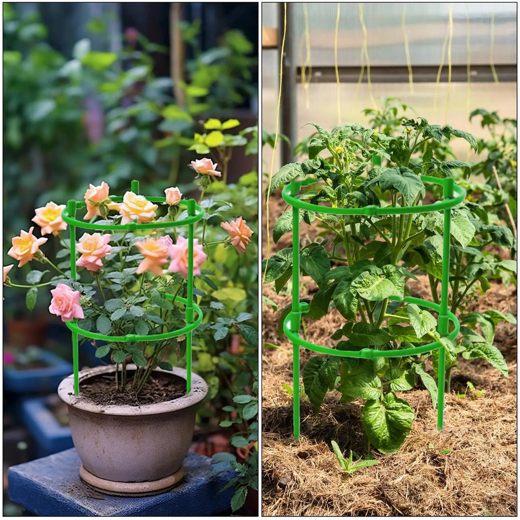 Semicircle Plant Support Cage for Tomato, Vine & Flowers Plant Support Cage Axl