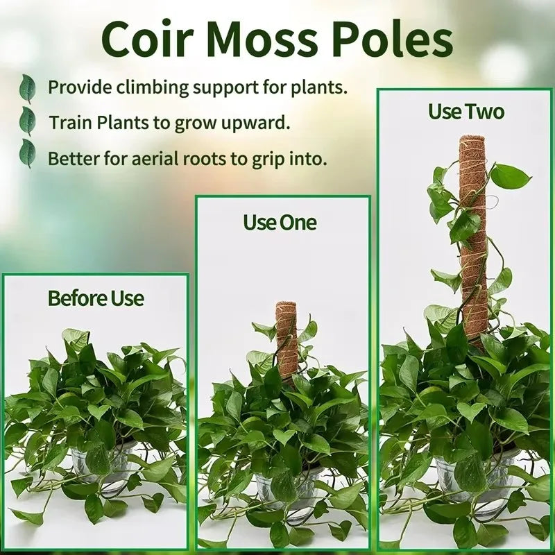 Bendable Moss Coir Pole – Coconut Fiber Climbing Plant Support Plant Climbing Support Axl