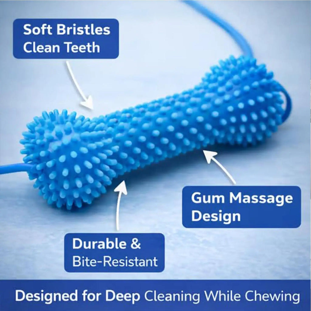 Dog Dental Chew Toy – Dual-Action Teeth Cleaning Puppy Teether Dog Dental Chew Toy Axl