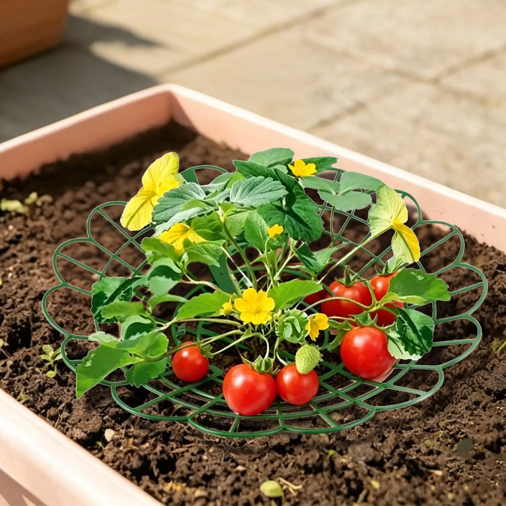 Strawberry Plant Support Stand – Potted Growing Frame Plant Support Frame Axl