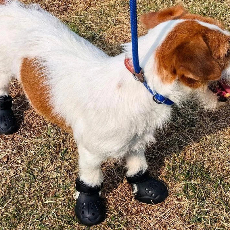 Dog Summer Sandals 4-Pack – Anti-Skid & Water-Resistant Dog Shoes Axl