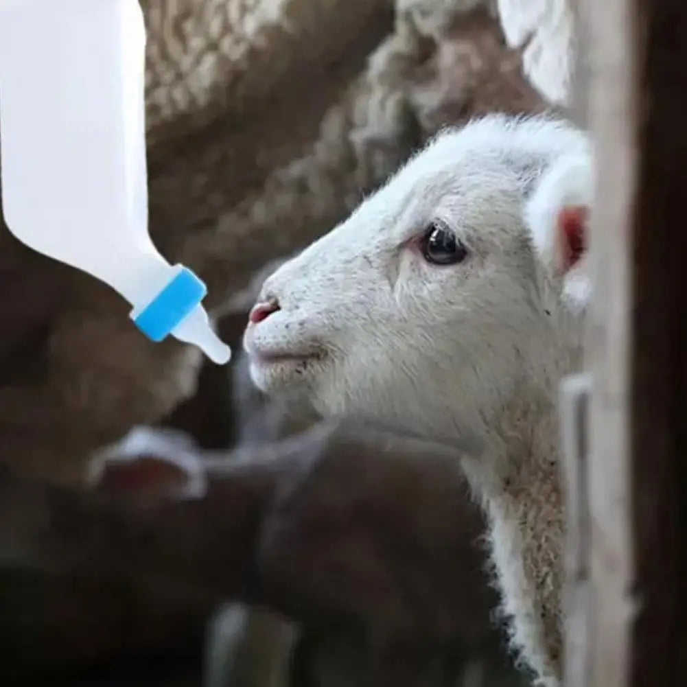 Hangable Lamb Feeding Bottle 500ml/800ml | Sheep Goat Piglet Animal Feeding Bottle Axl