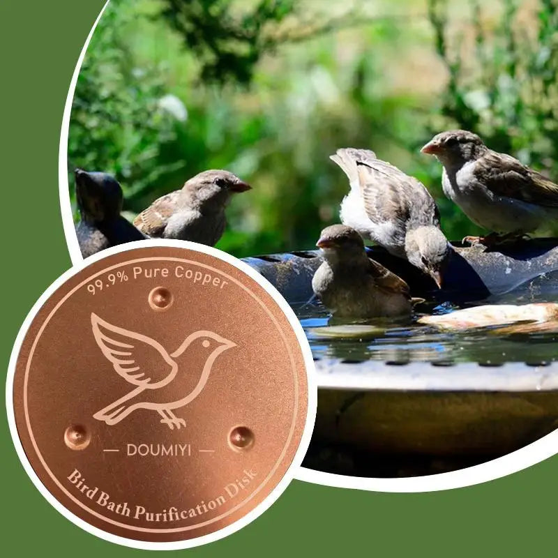 Pure Copper Bird Bath Purification Disk | Algae-Inhibiting Bird Bath Accessory Axl