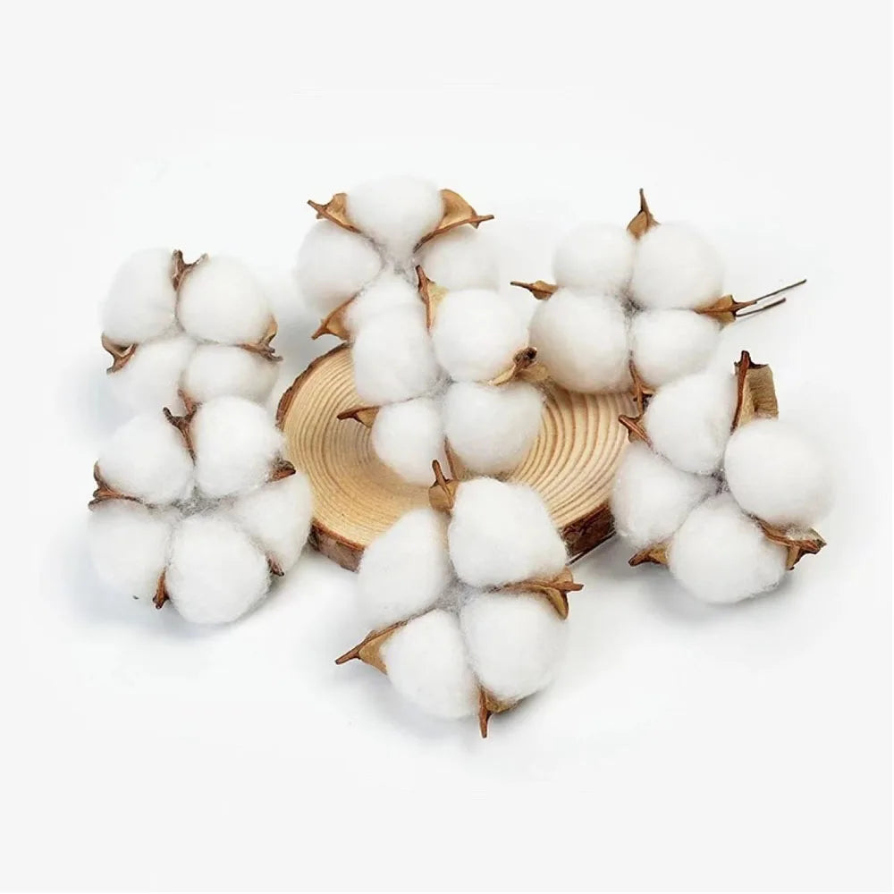 20 Pcs White Artificial Cotton Flower Heads for DIY Décor Artificial Flower Heads Axl