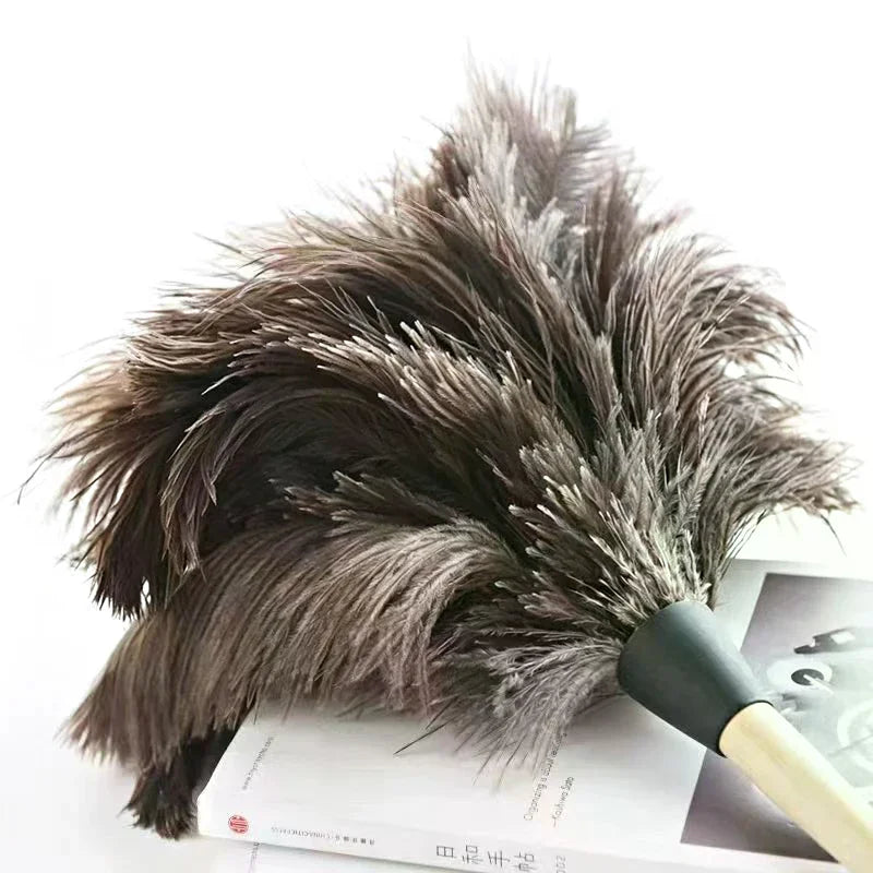 Natural Ostrich Feather Duster with Wooden Handle | Home Cleaning Feather Duster Axl