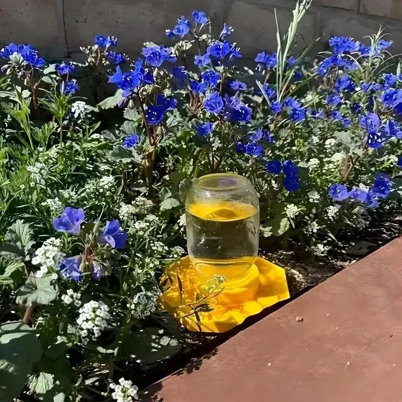 Bee Water Feeder Honeycomb Tray – Safe Honeybee Drinking Station Bee Water Feeder Axl