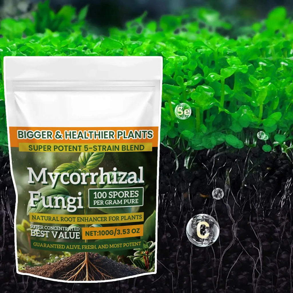 100g Plant Growth Enhancer Powder – Hydroponics & Soil Plant Fertilizer Powder Axl