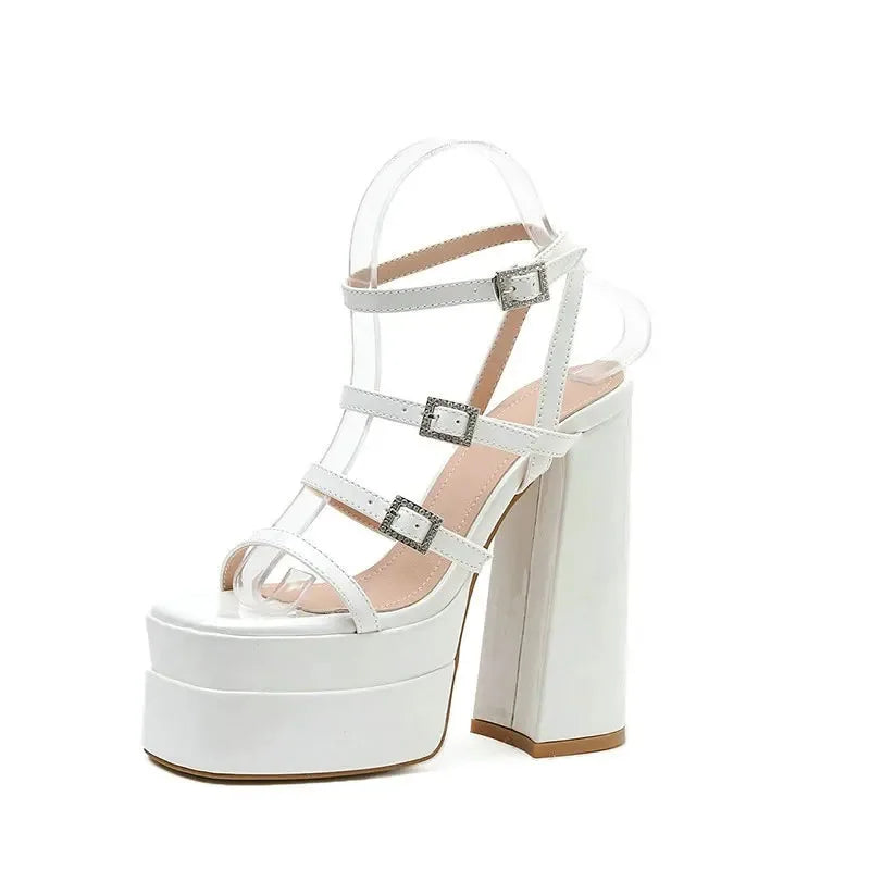 Women's Platform Gladiator Sandals – 15cm High Heel Patent Platform Heel Sandals Axl